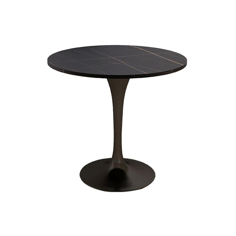 Modern Style Dining Table Sintered Stone Round Tulip Table for Dining Room Clearhalo 'Dining Tables & Seating' 'Dining Tables' 'dining_table' 'furn' 'furn_dining_table' 'Furniture' 'Kitchen & Dining Furniture' 1200x1200_d4e8ae8e-ed93-4078-8f81-824ee52c0203