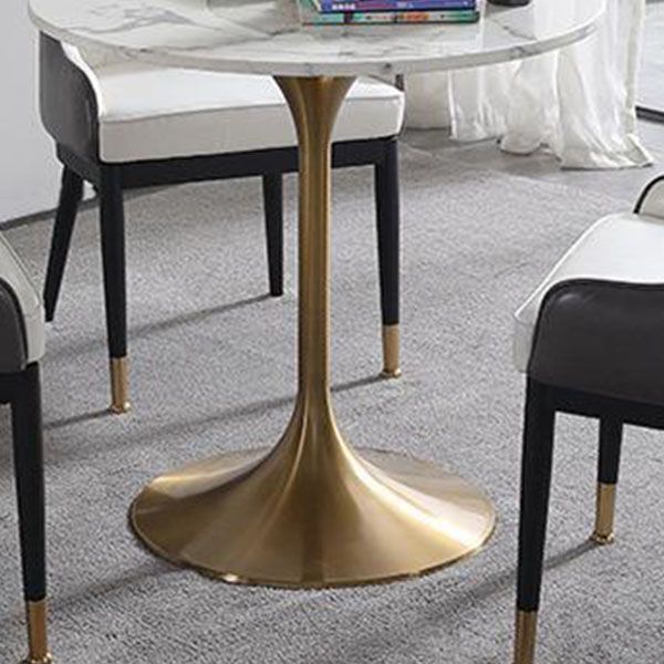 Contemporary Marble Dining Set 1/2/4/5 Pieces Round Dining Table Set with Padded Chairs Clearhalo 'Dining Room Sets' 'Dining Tables & Seating' 'dining_room_set' 'furn' 'furn_dining_room_set' 'Furniture' 'Kitchen & Dining Furniture' 1200x1200_d53723c8-de39-40ba-b168-fd118d642929