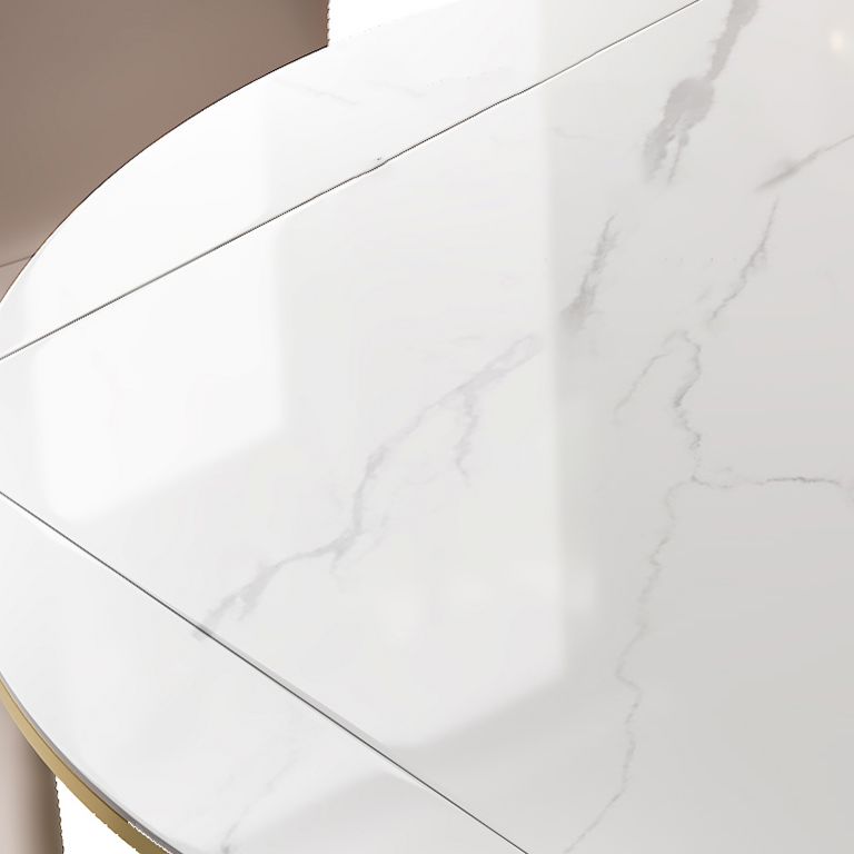 Glam 1/2/5/7 Pieces Dining Set Round Sintered Stone Dining Table for Dining Room Clearhalo 'Dining Room Sets' 'Dining Tables & Seating' 'dining_room_set' 'furn' 'furn_dining_room_set' 'Furniture' 'furniture_dining_room_set' 'Kitchen & Dining Furniture' 'kitchen&dining_furn' 'kitchen' 1200x1200_d55b87b7-ebdd-4564-bb5f-be94c2e793e0