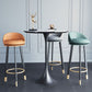Glam Metal Barstool Fabric Counter Stool in Matte Finish for Home Clearhalo 'Bar Furniture' 'Bar Stools' 'bar_stools' 'furn' 'furn_bar_stools' 'Furniture' 'Kitchen & Dining Furniture' 1200x1200_d5eefab3-429b-43d4-9a7d-848c6564d746