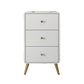 Contemporary Wooden Chest in White, Rectangle Accent Chest with Drawers
