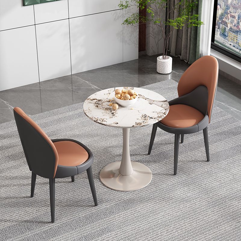 Modern Style Side Chair Indoor Solid Back Metal Upholstered Dining Room Chair (Set of 2) Clearhalo ' kitchen&dining_furn' 'Dining Chairs' 'Dining Tables & Seating' 'dining_chair' 'furn' 'furn_dining_chair' 'Furniture' 'furniture_dining_chair' 'Kitchen & Dining Furniture' 'kitchen' 1200x1200_d6616d17-1f0e-420a-911e-d9954413c378