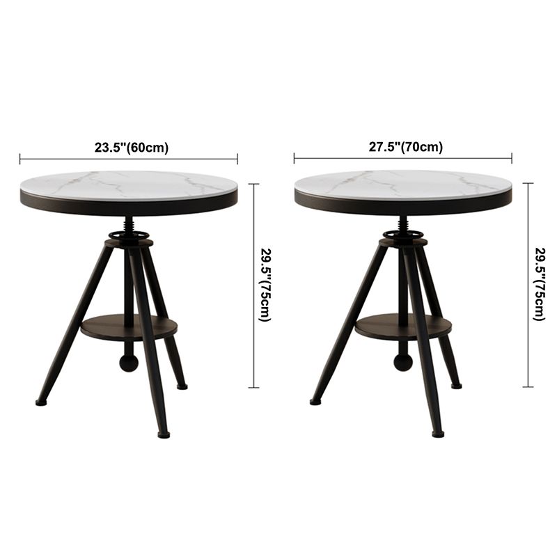 Modern Style Home Sintered Stone Dining Table Round Shape Table with Single Pedestal Base Clearhalo ' dining_table' 'Dining Tables & Seating' 'Dining Tables' 'furn' 'furn_dining_table' 'Furniture' 'furniture_dining_table' 'Kitchen & Dining Furniture' 'kitchen&dining_furn' 'kitchen' 'kitchen_dining_table' 1200x1200_d66637e5-59aa-4eec-bf3b-718c743dc58b