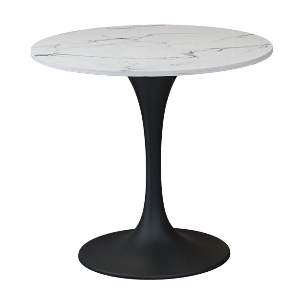 Round Stone Dining Table Simplicity Dining Room Collection with Tulip Base Clearhalo ' dining_table' 'Dining Tables & Seating' 'Dining Tables' 'furn' 'furn_dining_table' 'Furniture' 'furniture_dining_table' 'Kitchen & Dining Furniture' 'kitchen&dining_furn' 'kitchen' 'kitchen_dining_table' 1200x1200_d6aee828-74df-4c8a-b1f8-17cbd865fbd9