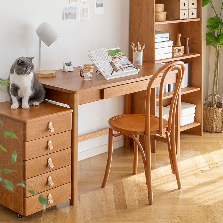 Contemporary Indoor Dining Side Chair Solid Wood Frame Side Chair