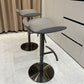 Contemporary Metal Bar Stool Footrest Counter Stool for Living Room