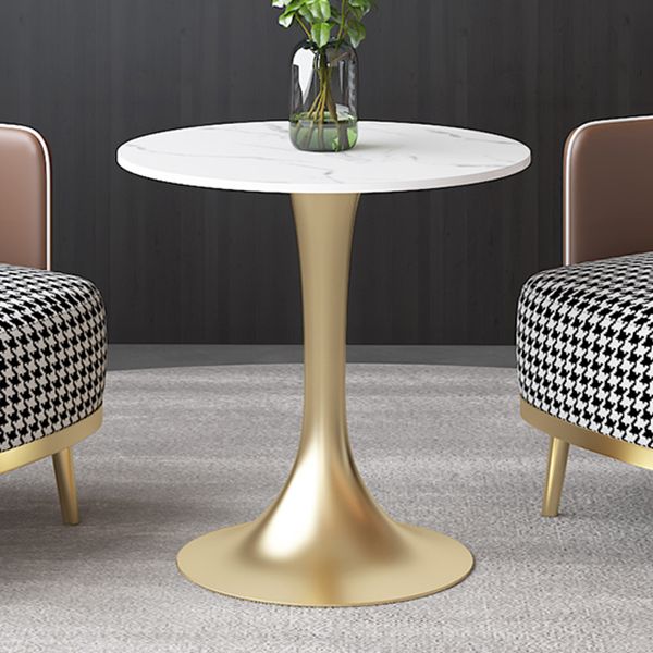 Luxury Sintered Stone Top Dining Table Round Table with Gold Metal Pedestal Clearhalo 'Dining Tables & Seating' 'Dining Tables' 'dining_table' 'furn' 'furn_dining_table' 'Furniture' 'furniture_dining_table' 'Kitchen & Dining Furniture' 'kitchen' 'kitchen_dining_table' 1200x1200_d72e6410-fcf3-4dcd-8cc3-df5d96f3ba48