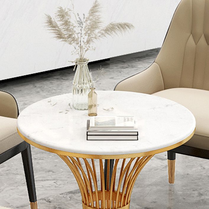 Traditional Luxury Stone Dinette Table Round Pedestal Furniture for Dining Room Clearhalo ' dining_table' 'Dining Tables & Seating' 'Dining Tables' 'furn' 'furn_dining_table' 'Furniture' 'furniture_dining_table' 'Kitchen & Dining Furniture' 'kitchen&dining_furn' 'kitchen' 'kitchen_dining_table' 1200x1200_d74b04af-f686-4d9b-9527-3b5aaeba6001