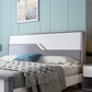 43.3" Tall Contemporary Standard Bed with Headboard, Solid Wood Panel Bed