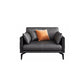 Living Room Contemporary Pillow Top Arm Standard Pillows Sofa Chaise Clearhalo 'furn' 'furn_sofas' 'Furniture' 'furniture_sofas' 'kitchen' 'kitchen_sofas' 'Living Room Furniture' 'Sofa' 'sofas' 1200x1200_d75c9987-efce-4b0d-bd90-99cce259cce0