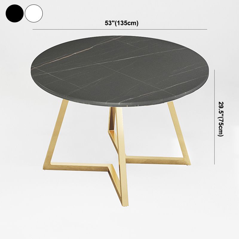 Traditional Luxury Round Double Pedestal Home Furniture Stone Dining Table Clearhalo ' dining_table' 'Dining Tables & Seating' 'Dining Tables' 'furn' 'furn_dining_table' 'Furniture' 'furniture_dining_table' 'Kitchen & Dining Furniture' 'kitchen&dining_furn' 'kitchen' 'kitchen_dining_table' 1200x1200_d76da5a3-66b7-465a-a473-9da0e52eca46