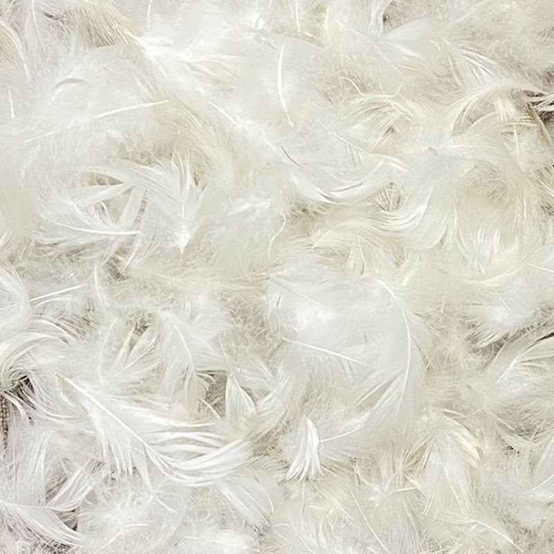 Stationary Stain Resistant Genuine Leather Living Room Pillow Top Arm Sofa Clearhalo 'furn' 'furn_sofas' 'Furniture' 'Living Room Furniture' 'Sofa' 'sofas' 1200x1200_d800ac7d-ad34-42a2-a968-6ecfd4e7eef7