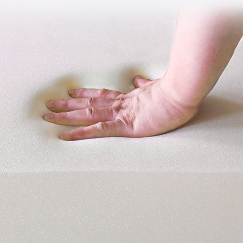 Divano in stile Nordic Bed Sponge/Latex Cushion Pieched Itch/divano