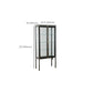 Modern Curio Cabinet Metal Glass Doors Storage Cabinet with Lighting Clearhalo 'Display & China Cabinets' 'display_china_cabinets' 'furn' 'furn_display_china_cabinets' 'Furniture' 'Kitchen & Dining Furniture' 1200x1200_d8fa2377-2632-483f-96d3-e1d84fcffd32