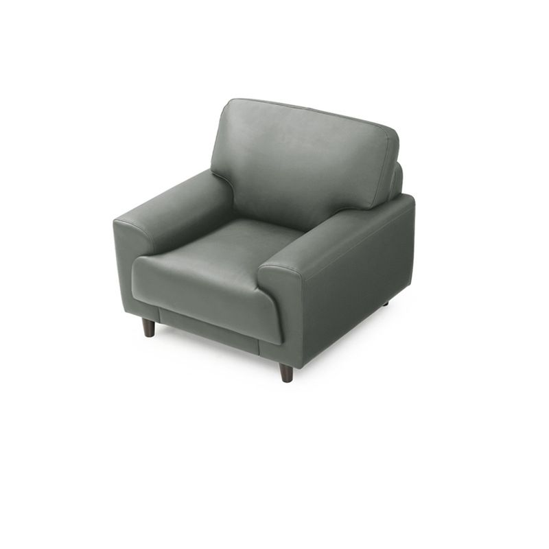 Contemporary Pillow Back Couch Leather Sofa with Solid Wood Legs Clearhalo 'Furniture' 'furniture_sofas' 'Living Room Furniture' 'Sofa' 'sofas' 1200x1200_d9097fb3-3790-4d6a-9d6c-70fa9aa0a23d