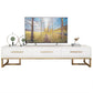 Glam Glass Top TV Stand in Black/White Steel Frame TV Console with Drawer