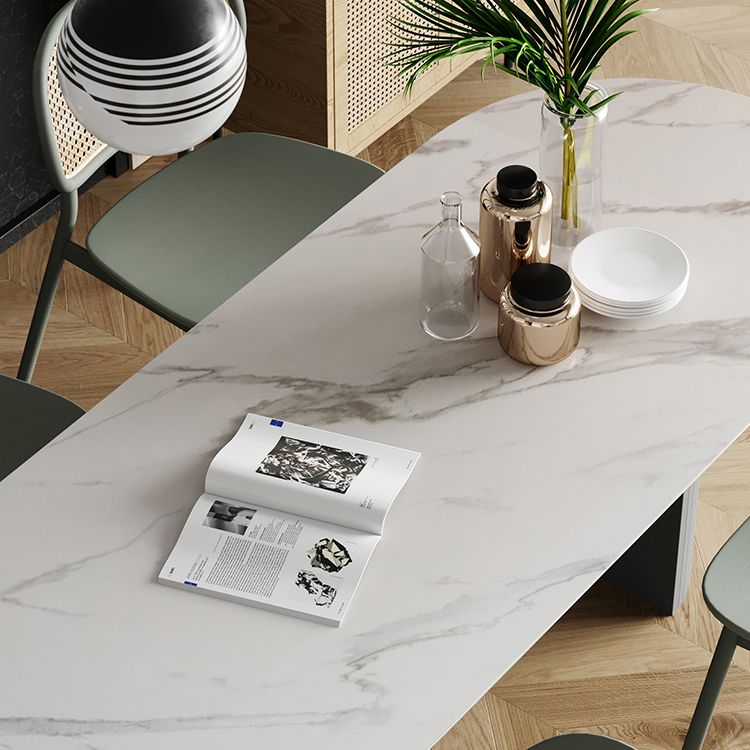 Oval Double Pedestal Dining Site Table Contemporary Style Dinette Table Clearhalo ' dining_table' 'Dining Tables & Seating' 'Dining Tables' 'furn' 'furn_dining_table' 'Furniture' 'furniture_dining_table' 'Kitchen & Dining Furniture' 'kitchen&dining_furn' 'kitchen' 'kitchen_dining_table' 1200x1200_d9203979-d886-44dc-a3d9-c733024c8571