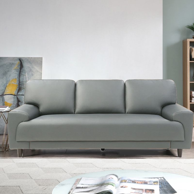 Contemporary Pillow Back Couch Leather Sofa with Solid Wood Legs Clearhalo 'Furniture' 'furniture_sofas' 'Living Room Furniture' 'Sofa' 'sofas' 1200x1200_d97a3338-3a11-482c-bf1d-c39509da0da1