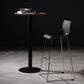Contemporary Bar-stool Plastic Counter Bar Stool for Kitchen with Metal Legs
