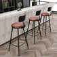 Modern Armless Backrest Counter Stool Iron Bar Stool with Seat and Pedal for Bar Clearhalo 'Bar Furniture' 'Bar Stools' 'bar_stools' 'furn' 'furn_bar_stools' 'Furniture' 'Kitchen & Dining Furniture' 1200x1200_d9f866fa-8b26-4d30-ba12-a7dfef1cf372