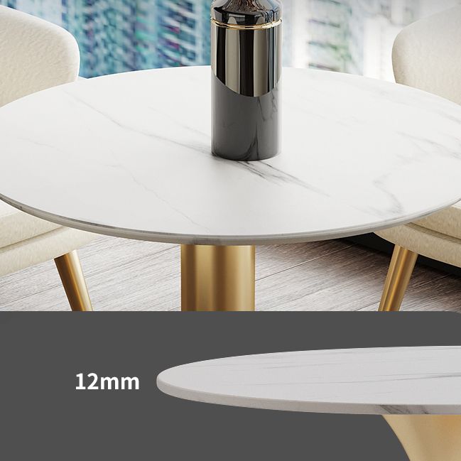 Modern Style Round Dining Table Sintered Stone Table with Tulip Base Clearhalo 'Dining Tables & Seating' 'Dining Tables' 'dining_table' 'furn' 'furn_dining_table' 'Furniture' 'Kitchen & Dining Furniture' 1200x1200_dae28bed-6d15-407c-b231-3a0bc24164ec