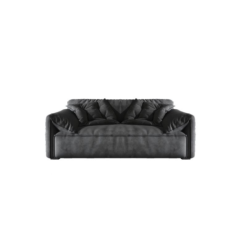 Stain Resistant Stationary 2-seater Pillow Top Arm Cushions Sofa Clearhalo 'furn' 'furn_sofas' 'Furniture' 'Living Room Furniture' 'Sofa' 'sofas' 1200x1200_db072d4f-f3ac-4b68-a66c-4677d4630457