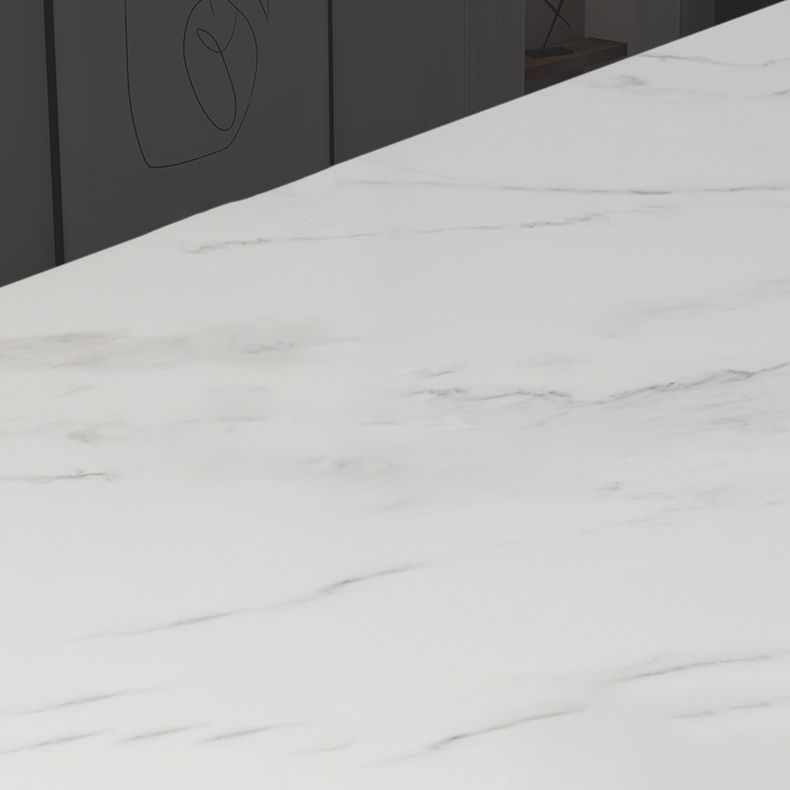 Modern Style Sintered Stone Dining Table Set 1/2/5 Pieces Dining Set Clearhalo 'Dining Room Sets' 'Dining Tables & Seating' 'dining_room_set' 'furn' 'furn_dining_room_set' 'Furniture' 'Kitchen & Dining Furniture' 1200x1200_db49a8f5-4d84-4f22-9b47-e6e2e53ac935