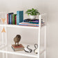 Scandinavian Open Back Bookshelf Ladder Metal Bookcase with Shelves