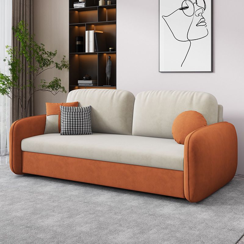 31.49" Wide Sleeper Sofa Velvet Detachable Mattress Sofa Bed with Storage