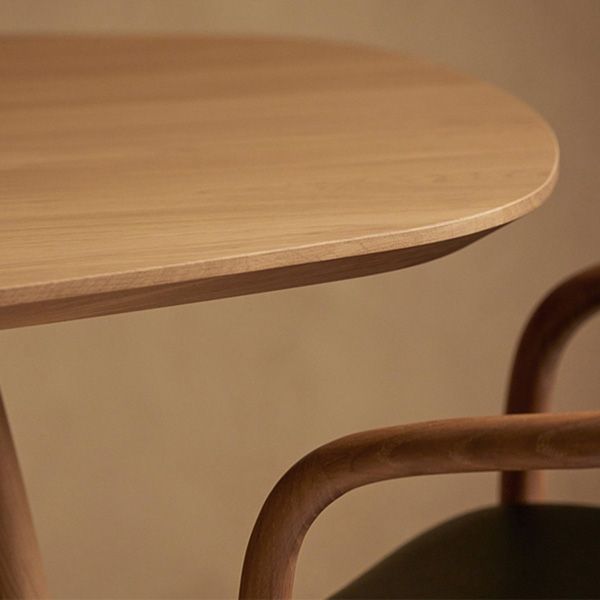 Pine Solid Wood Dining Table Double Pedestal Table for Kitchen Clearhalo 'Dining Tables & Seating' 'Dining Tables' 'dining_table' 'furn' 'furn_dining_table' 'Furniture' 'Kitchen & Dining Furniture' 1200x1200_db85ca48-e5c9-4ce4-87be-461ae1bab171