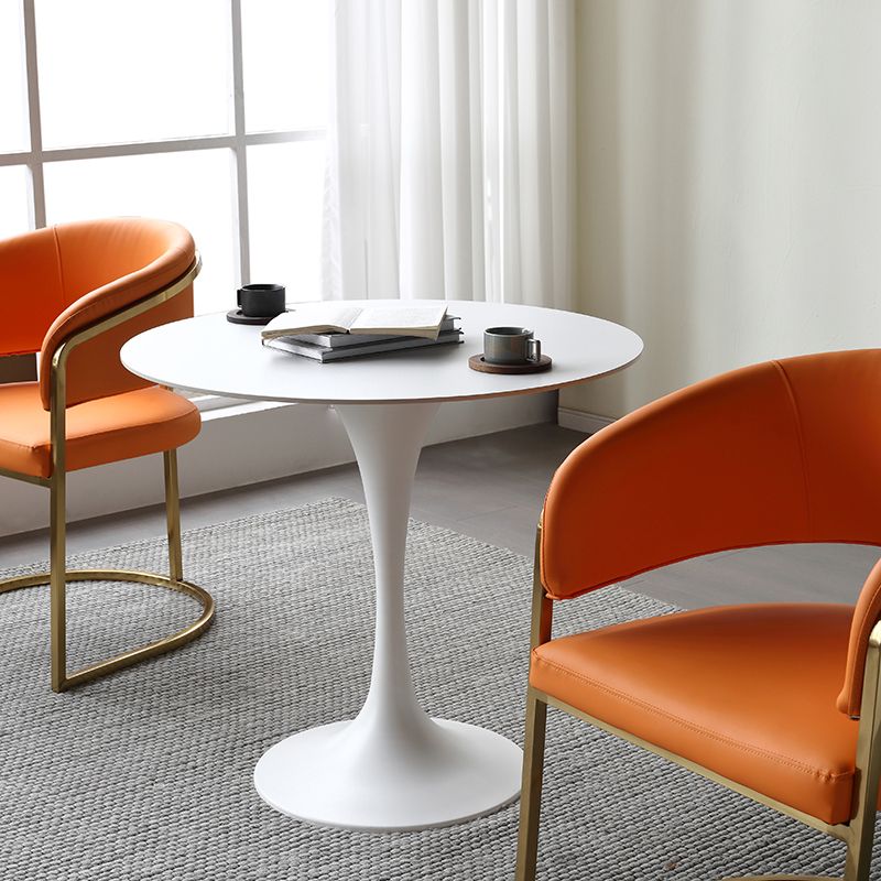 Metal Modern Round Table Sintered Stone Table for Kitchen and Dining Room Clearhalo ' dining_table' 'Dining Tables & Seating' 'Dining Tables' 'furn' 'furn_dining_table' 'Furniture' 'furniture_dining_table' 'Kitchen & Dining Furniture' 'kitchen&dining_furn' 'kitchen' 'kitchen_dining_table' 1200x1200_dbe563eb-58a1-41c9-92e0-02c8d6f74a03