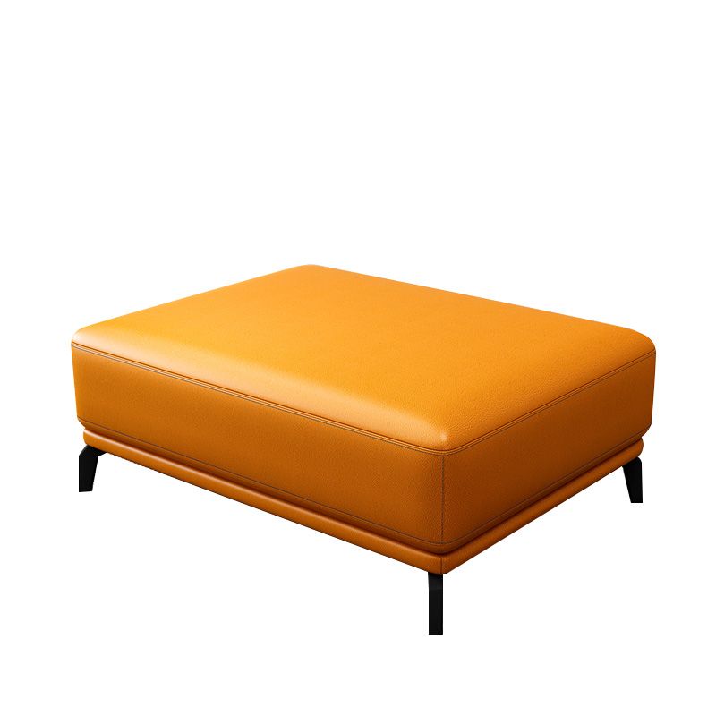 Rectangle Footstools Genuine Leather 23.4 Inch Width Standard Foot Stool Clearhalo 'furn' 'furn_ottomans_poufs' 'Furniture' 'Living Room Furniture' 'Ottomans & Poufs' 'ottomans_poufs' 1200x1200_dc04bc1a-49a8-44c3-bd0a-0e5ceee12a4e