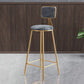 Glam Armless Counter Stool Iron Household Bar Stool with Cushion and Pedal Clearhalo 'Bar Furniture' 'Bar Stools' 'bar_stools' 'furn' 'furn_bar_stools' 'furniture_bar_stools' 'Kitchen & Dining Furniture' 'kitchen&dining_furn' 'kitchen' 'kitchen_furn' Furniture' 1200x1200_dc420b2a-e6fe-4efd-9a87-829b470f64c4