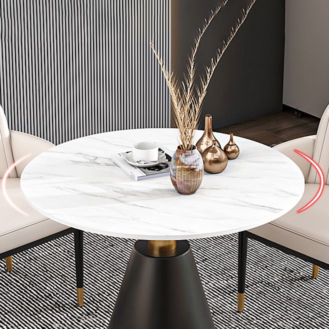 Traditional Luxury Sintered Stone Dinner Table White Round Table with Pedestal Base Clearhalo ' dining_table' 'Dining Tables & Seating' 'Dining Tables' 'furn' 'furn_dining_table' 'Furniture' 'furniture_dining_table' 'Kitchen & Dining Furniture' 'kitchen&dining_furn' 'kitchen' 'kitchen_dining_table' 1200x1200_dc8bc7f1-2a22-4c3c-9125-d9ed7018f528