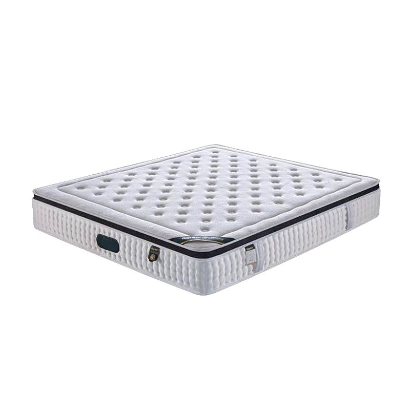 Glam Golden Finish Metallic Bed Wire-Grid Iron Bed Frame with Headboard