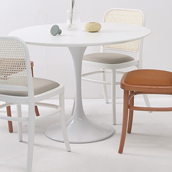 Round Tulip Base Modern Dining Table White Fixed Table with Sintered Stone Clearhalo ' dining_table' 'Dining Tables & Seating' 'Dining Tables' 'furn' 'furn_dining_table' 'Furniture' 'furniture_dining_table' 'Kitchen & Dining Furniture' 'kitchen&dining_furn' 'kitchen' 'kitchen_dining_table' 1200x1200_dcc4a0b4-05b6-4b1a-aeaf-5b4b2e158bed