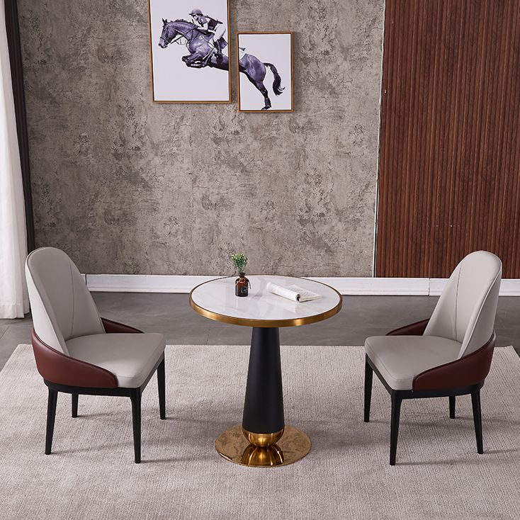 Metal Traditional Luxury Round Table Marble Top Indoor Table with Pedestal Clearhalo ' dining_table' 'Dining Tables & Seating' 'Dining Tables' 'furn' 'furn_dining_table' 'Furniture' 'furniture_dining_table' 'Kitchen & Dining Furniture' 'kitchen&dining_furn' 'kitchen' 'kitchen_dining_table' 1200x1200_dd043a8b-33ec-4ac0-8cd9-ba350dee2567