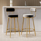 Glam Armless Backrest Counter Stool Iron Counter Stool with Cushion and Pedal Clearhalo 'Bar Furniture' 'Bar Stools' 'bar_stools' 'furn' 'furn_bar_stools' 'Furniture' 'Kitchen & Dining Furniture' 1200x1200_dd1d4fad-8cd0-43b2-9252-25bc2e1e7f96