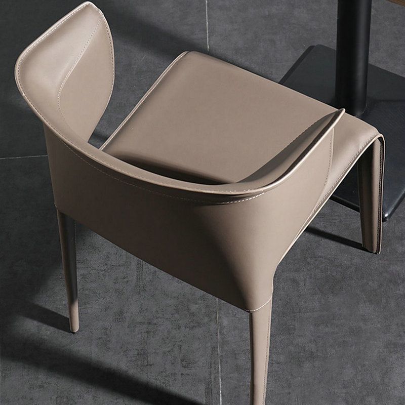 Metal Contemporary Indoor Chair with Leather Legs Matte Finish Side Chair for Dining Room Clearhalo 'Dining Chairs' 'Dining Tables & Seating' 'dining_chair' 'furn' 'furn_dining_chair' 'Furniture' 'furniture_dining_chair' 'Kitchen & Dining Furniture' 1200x1200_dd2a0969-d932-48a4-b07c-bb2814088ebb