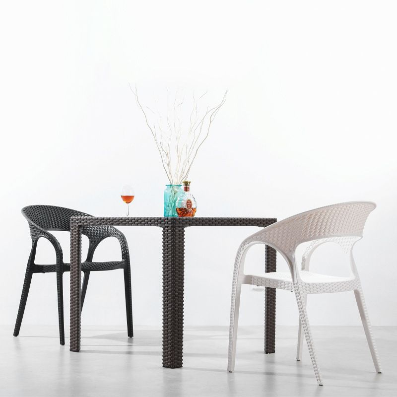 Modern Style Dining Chair Plastic Arm Chair with Plastic Legs for Kitchen