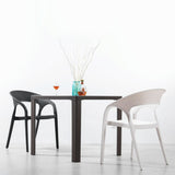 Modern Style Dining Chair Plastic Arm Chair with Plastic Legs for Kitchen