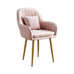 Scandinavian Powder Room Solid Back Side Chair Velvet Matte Finish Dining Chair Clearhalo ' kitchen&dining_furn' 'Dining Chairs' 'Dining Tables & Seating' 'dining_chair' 'furn' 'furn_dining_chair' 'Furniture' 'furniture_dining_chair' 'Kitchen & Dining Furniture' 'kitchen' 1200x1200_dd61641d-0e55-4619-afe2-58ec92440f7d