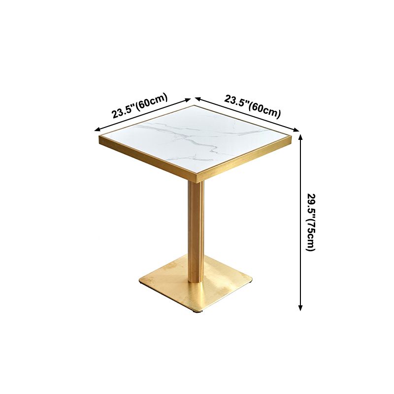 Metal Traditional Luxury Table Pedestal Base Table for Kitchen and Dining Room Clearhalo ' dining_table' 'Dining Tables & Seating' 'Dining Tables' 'furn' 'furn_dining_table' 'Furniture' 'furniture_dining_table' 'Kitchen & Dining Furniture' 'kitchen&dining_furn' 'kitchen' 'kitchen_dining_table' 1200x1200_dd8f4cbd-ec68-411b-9f96-af0ea7b8addf