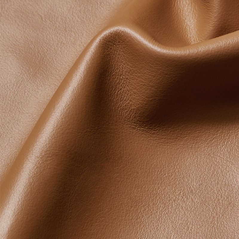 Contemporary Dark Brown Cushions Standard for Living Room Sofa