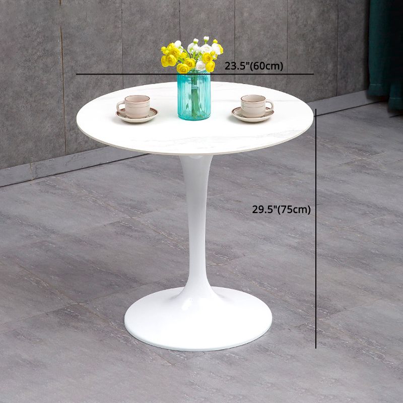 Modern Sintered Stone Dining Room Set 1/2/3/4/5 Pieces Dining Set /Separate Items Clearhalo 'Dining Room Sets' 'Dining Tables & Seating' 'dining_room_set' 'furn' 'furn_dining_room_set' 'Furniture' 'furniture_dining_room_set' 'Kitchen & Dining Furniture' 'kitchen&dining_furn' 'kitchen' 1200x1200_de67451b-dd06-4ccc-88ca-0a3e0730425f