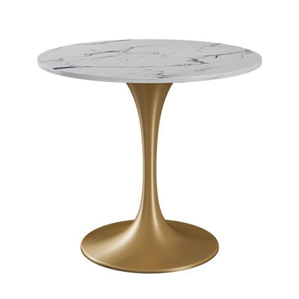 Glam Sintered Stone Dining Table Set Round 1/2/4/5 Pieces Dining Set for Home Use Clearhalo 'Dining Room Sets' 'Dining Tables & Seating' 'dining_room_set' 'furn' 'furn_dining_room_set' 'Furniture' 'Kitchen & Dining Furniture' 1200x1200_debfe4df-cbab-4559-9ee5-766b9771ddef