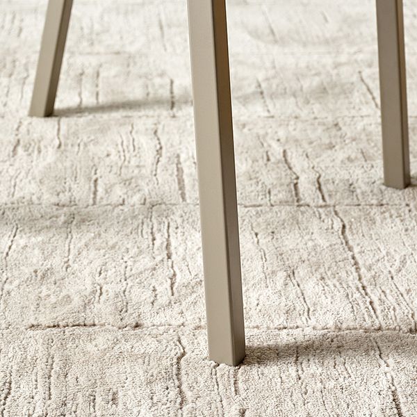 Modern Style Chairs Dining Chairs with Metal Legs for Kitchen Clearhalo 'Dining Chairs' 'Dining Tables & Seating' 'dining_chair' 'furn' 'furn_dining_chair' 'Furniture' 'Kitchen & Dining Furniture' 1200x1200_df07eb2f-d58c-4a94-9cb9-fc752d6de83d