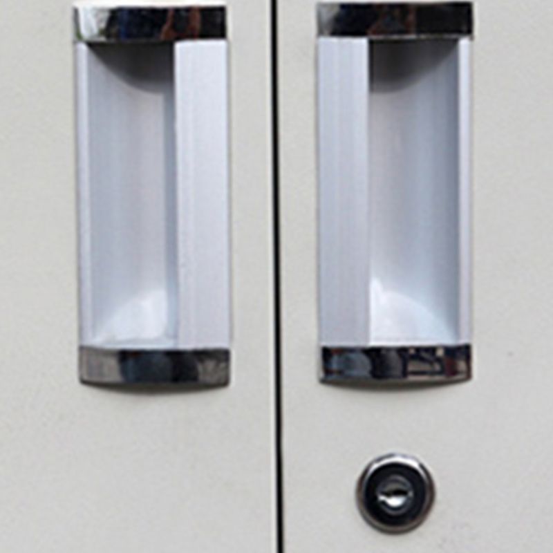 Modern File Cabinet Glass Doors Lock Storage Vertical Filing Cabinet Clearhalo 'Filing Cabinets' 'filling_cabinets' 'furn' 'furn_filling_cabinets' 'Furniture' 'Office Furniture' 1200x1200_df1bbd94-15b8-48c8-acc0-e1c78e0e4992