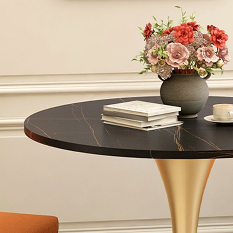 Modern Style Dining Table Sintered Stone Round Tulip Table for Dining Room Clearhalo 'Dining Tables & Seating' 'Dining Tables' 'dining_table' 'furn' 'furn_dining_table' 'Furniture' 'Kitchen & Dining Furniture' 1200x1200_df4c3109-bffc-4236-bd91-8c71bd02b720