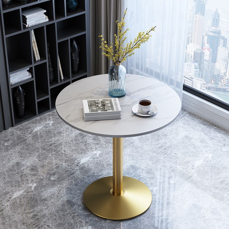 Traditional Luxury Round Dining Room Table Sintered Stone Table with Pedestal Base Clearhalo ' dining_table' 'Dining Tables & Seating' 'Dining Tables' 'furn' 'furn_dining_table' 'Furniture' 'furniture_dining_table' 'Kitchen & Dining Furniture' 'kitchen&dining_furn' 'kitchen' 'kitchen_dining_table' 1200x1200_e02dcc46-19d6-433e-b681-a659563e9c9d